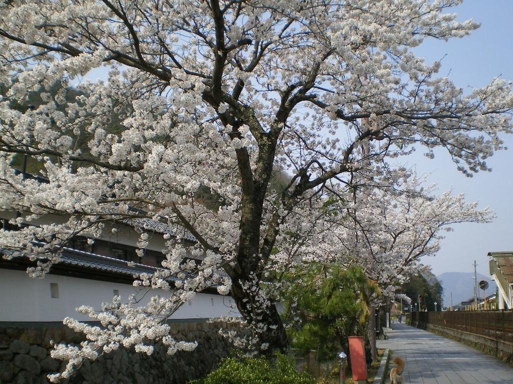 Terakoya Hanatei Asago Ngoại thất bức ảnh