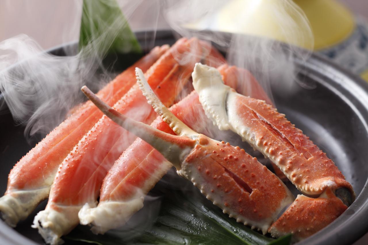 Terakoya Hanatei Asago Ngoại thất bức ảnh